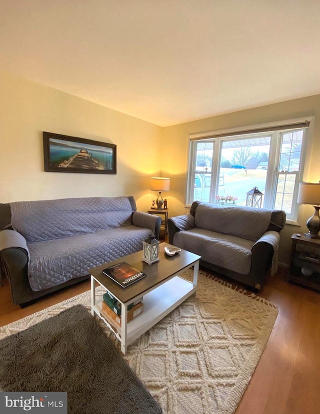 living area featuring wood finished floors