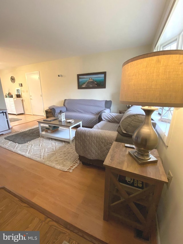 living room with wood finished floors