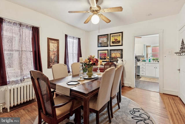 dining room featuring radiator heating unit, light wood-style floors, and ceiling fan