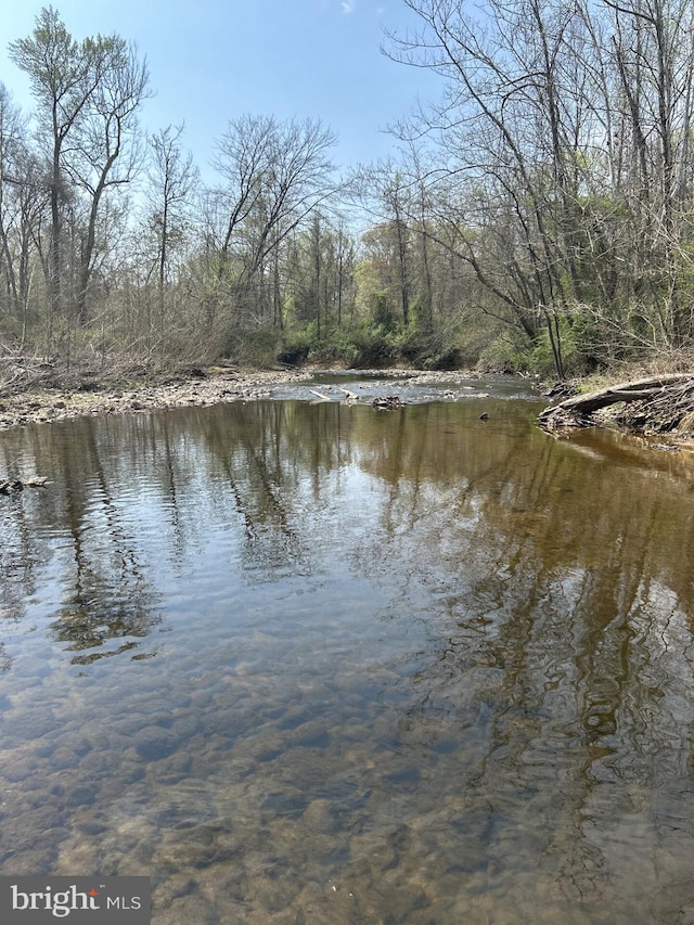 water view featuring a forest view