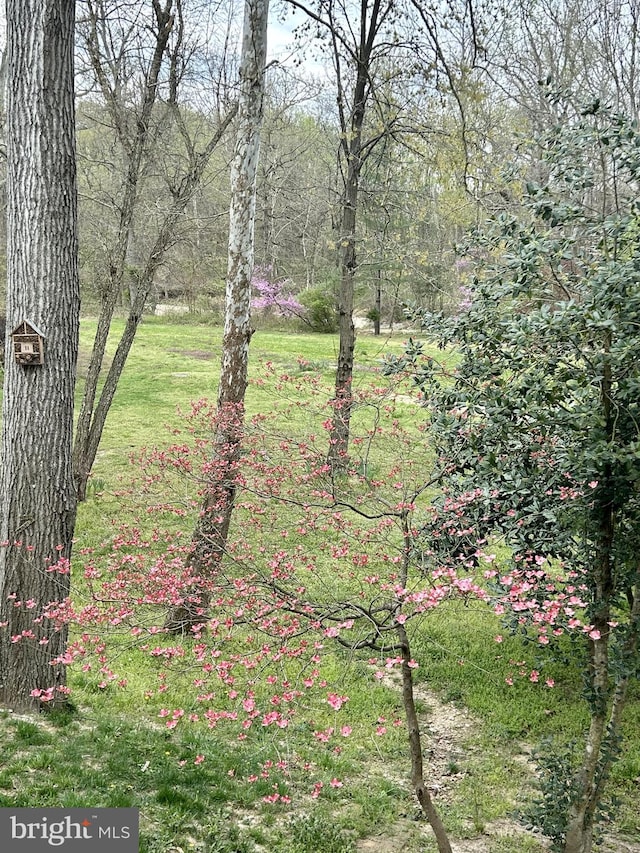 view of landscape with a wooded view