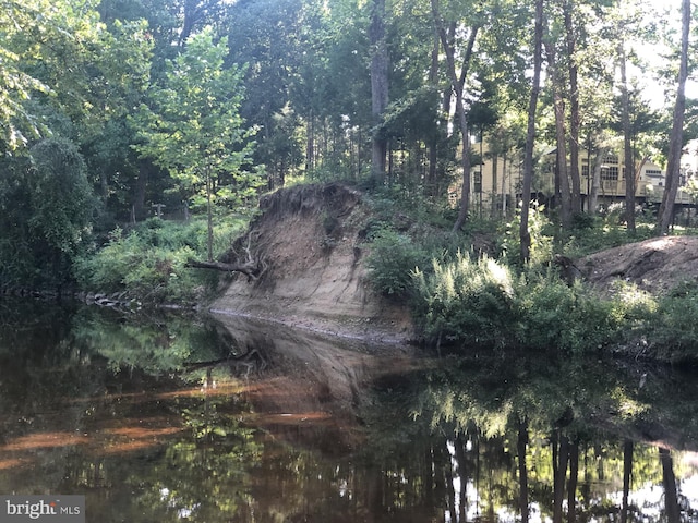 view of nature with a forest view