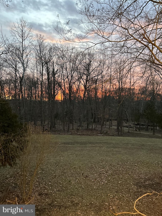 view of local wilderness