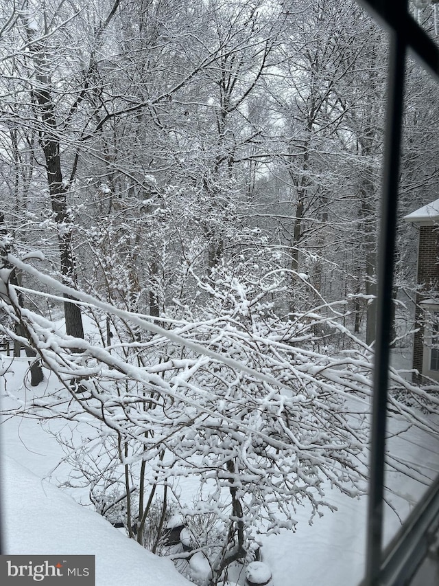 view of snowy landscape