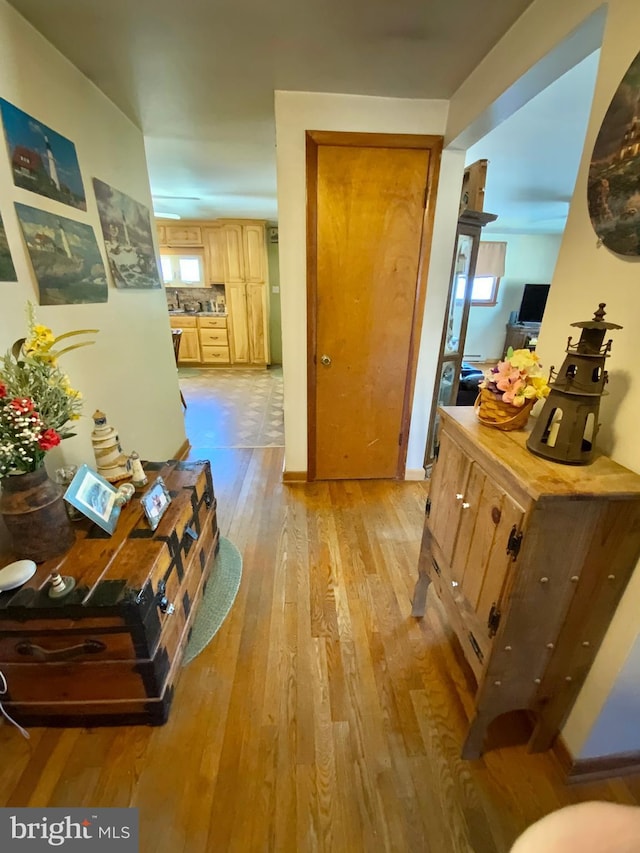 hallway with a healthy amount of sunlight, light wood finished floors, and baseboards