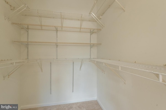 view of spacious closet