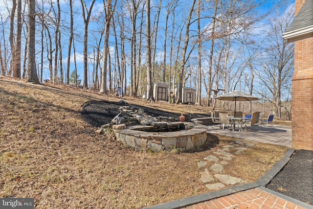 view of yard with a patio area and an outdoor fire pit