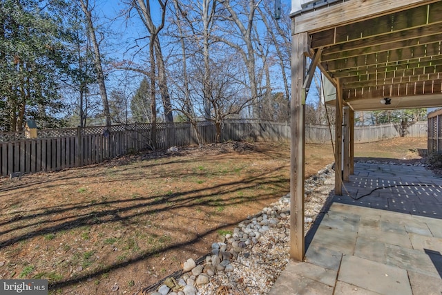 view of yard featuring a patio and a fenced backyard