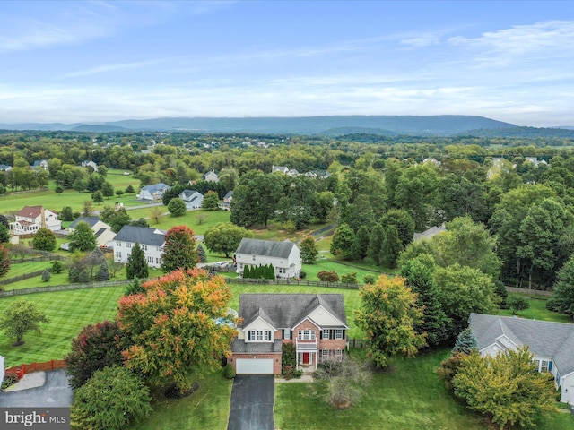 bird's eye view