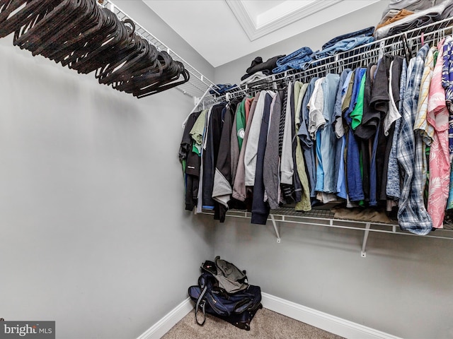 walk in closet featuring carpet flooring