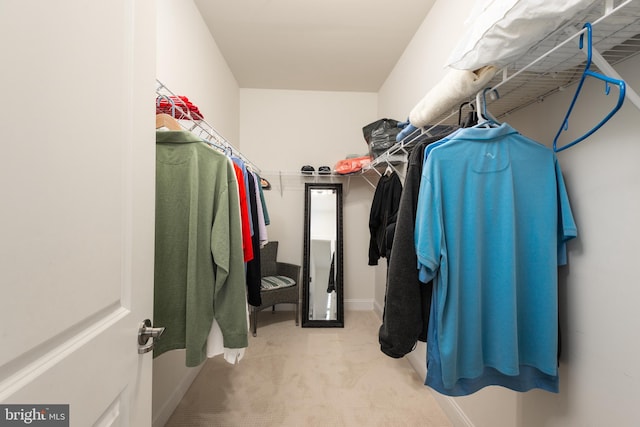 spacious closet featuring carpet floors