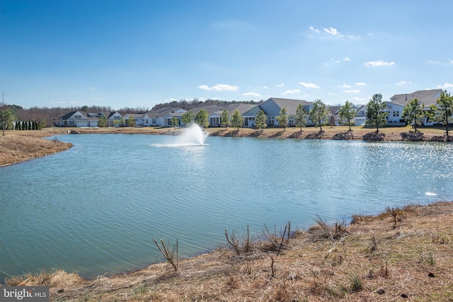 water view with a residential view