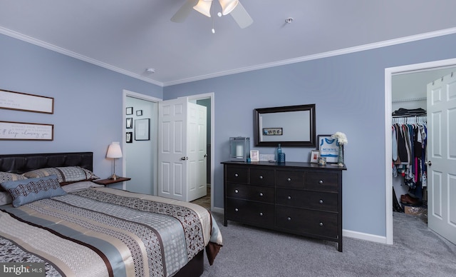 carpeted bedroom with a spacious closet, baseboards, a closet, and ornamental molding