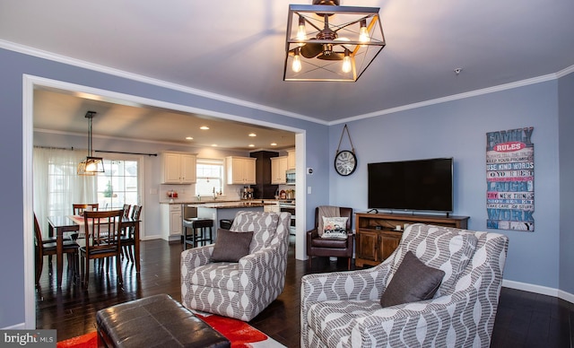 living area with baseboards, dark wood-type flooring, and ornamental molding