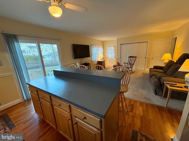 kitchen featuring wood finished floors, a healthy amount of sunlight, and open floor plan