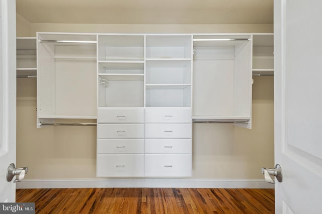 spacious closet featuring dark wood-style floors