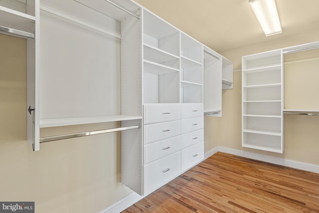 walk in closet featuring wood finished floors