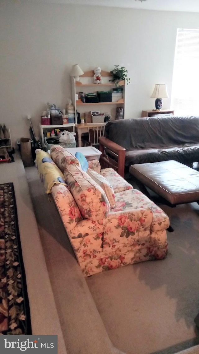 living room featuring carpet floors