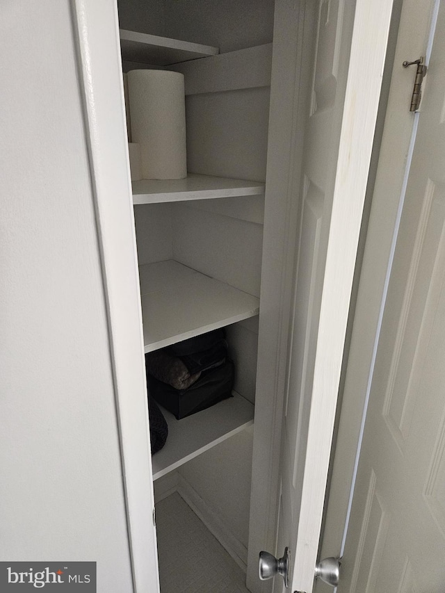 view of closet