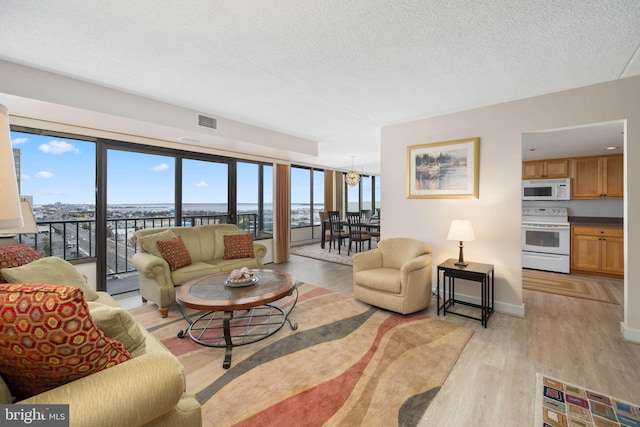 living area featuring light wood-type flooring, visible vents, a textured ceiling, and baseboards