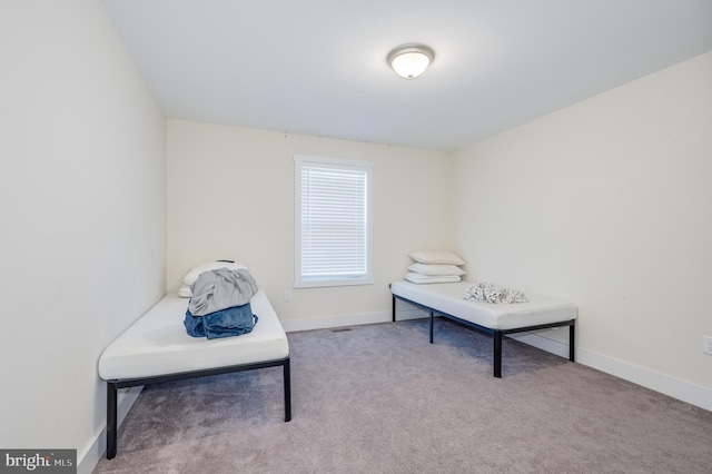 living area featuring baseboards and carpet floors