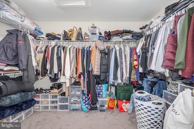 walk in closet with attic access and carpet flooring