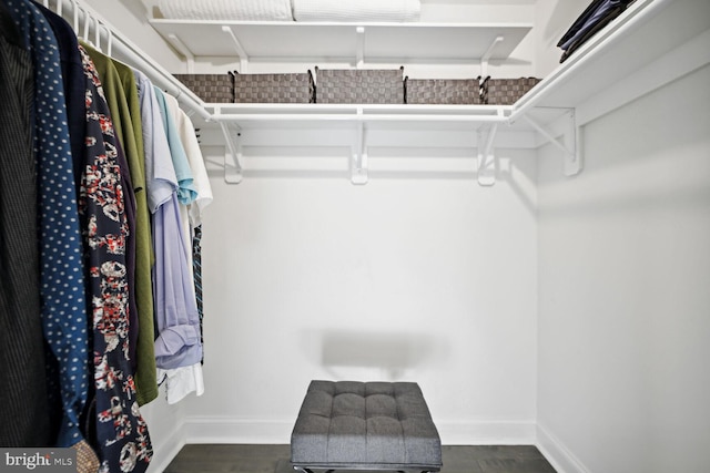 walk in closet with dark wood-style floors