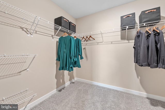 spacious closet with carpet floors