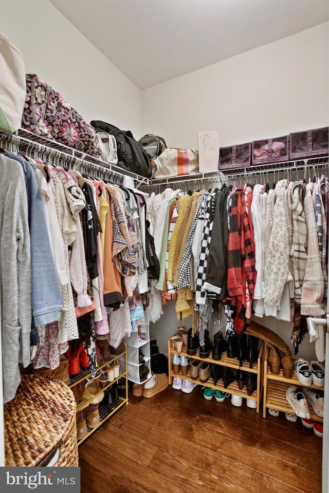 spacious closet with wood finished floors