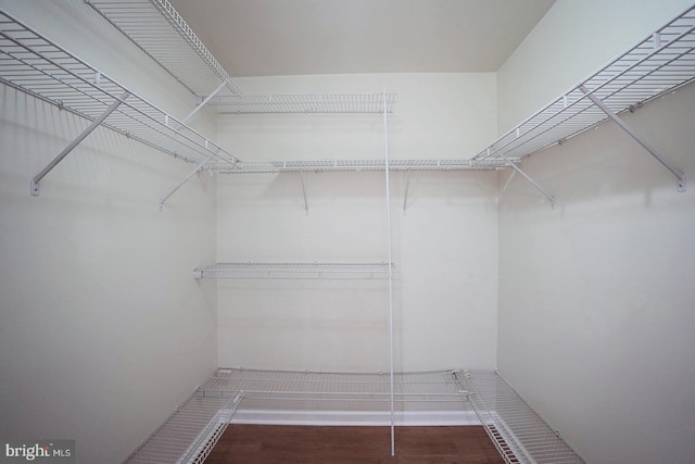 walk in closet with wood finished floors