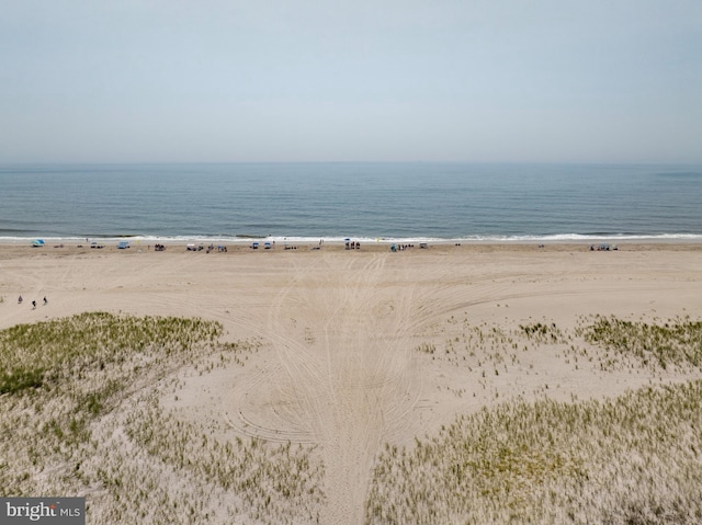 water view featuring a beach view