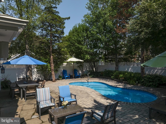 view of pool featuring a patio, a fenced backyard, and a fenced in pool