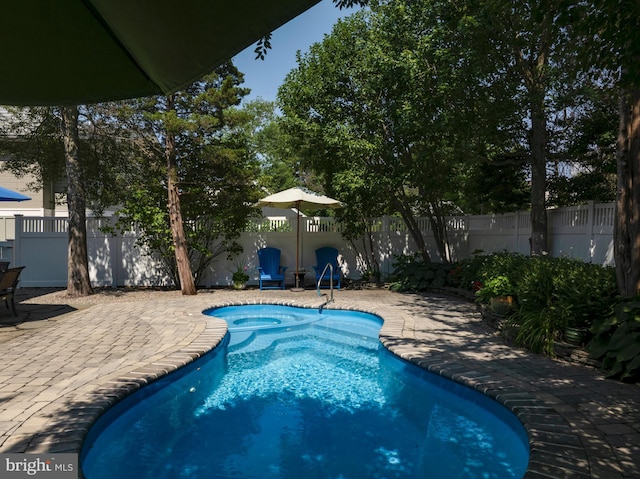 view of pool with a fenced backyard, a fenced in pool, and a patio