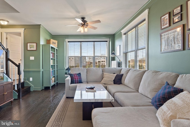 living area with stairs, dark wood-type flooring, a ceiling fan, and ornamental molding