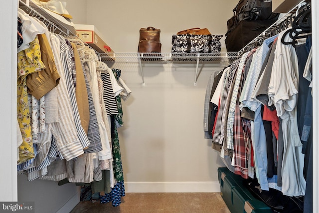 spacious closet with carpet