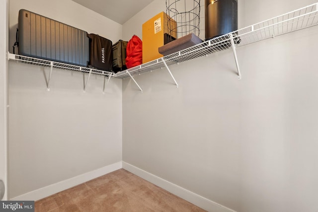 walk in closet with carpet flooring