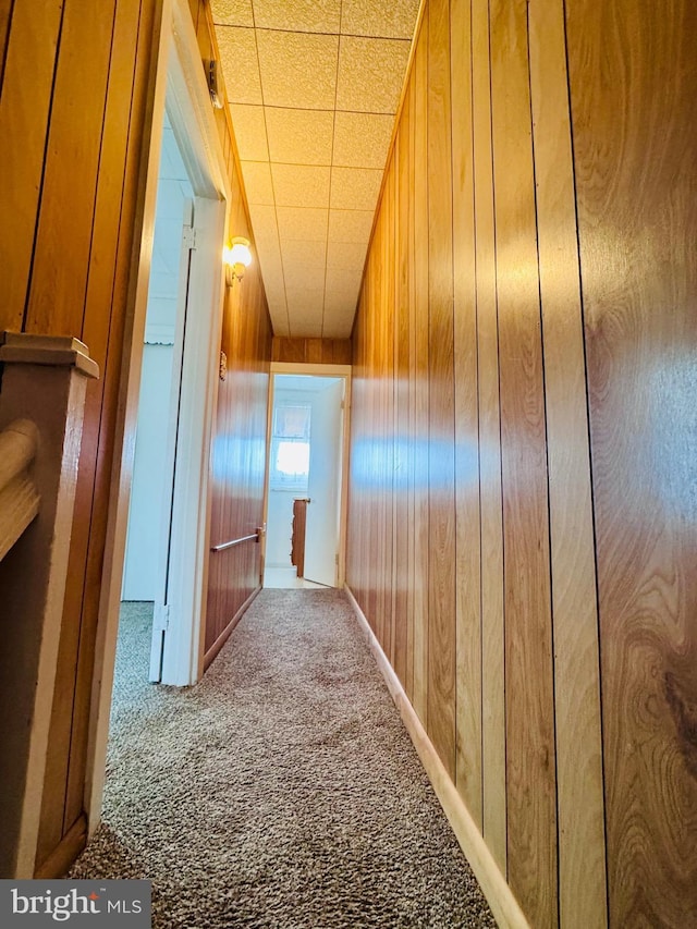 hallway with carpet flooring and wood walls