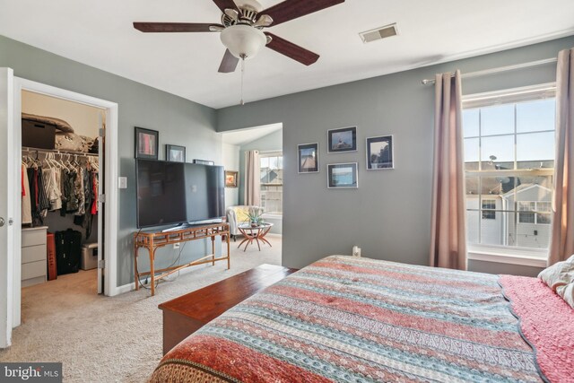 bedroom featuring a spacious closet, visible vents, baseboards, carpet, and a closet