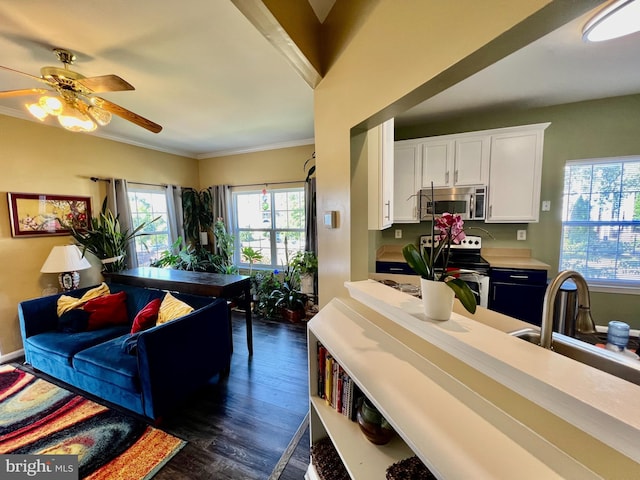 kitchen featuring crown molding, dark wood-style flooring, white cabinets, stainless steel appliances, and a sink