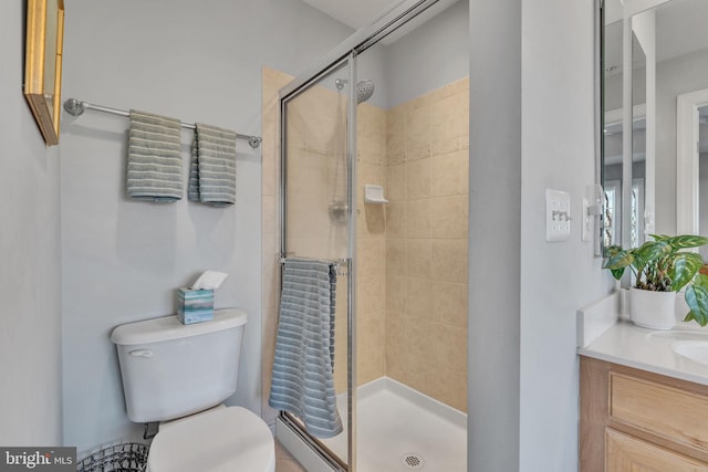 bathroom featuring vanity, toilet, and a shower stall