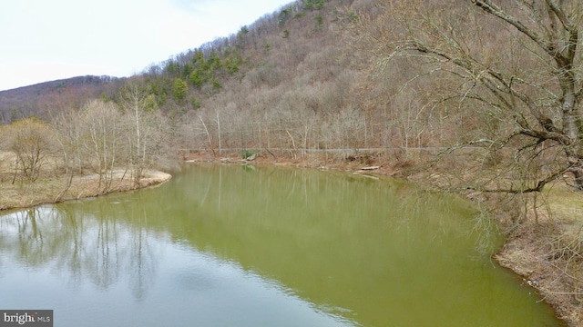 view of water feature featuring a mountain view and a view of trees