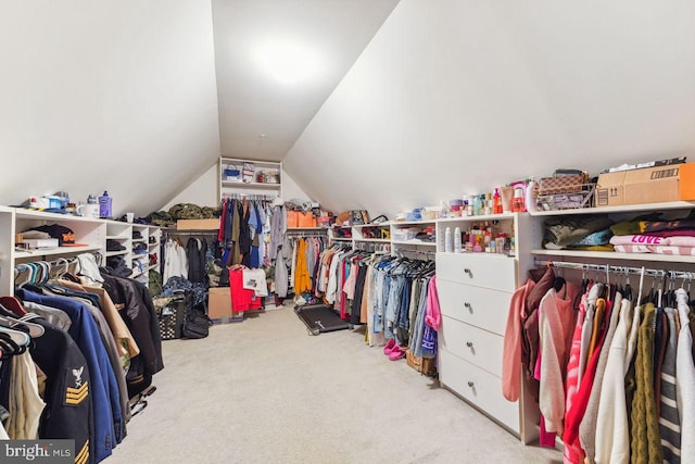 spacious closet featuring carpet flooring and vaulted ceiling
