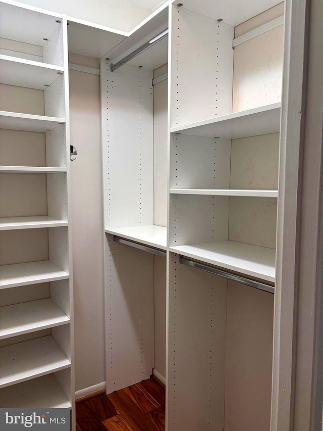 spacious closet with dark wood finished floors