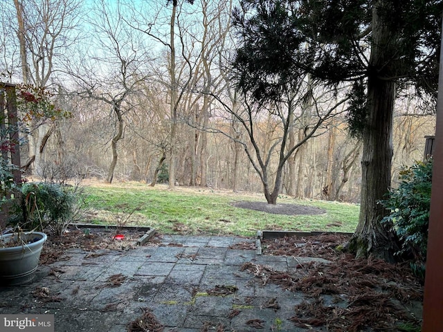 view of yard with a patio area