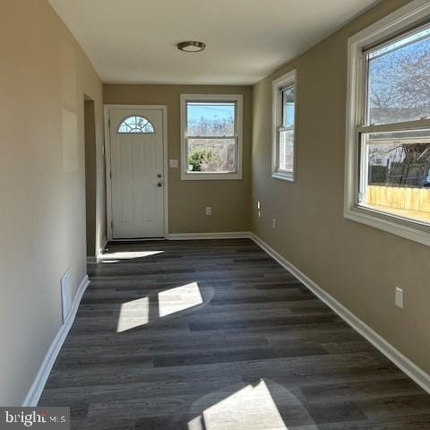 doorway with wood finished floors, a wealth of natural light, and baseboards