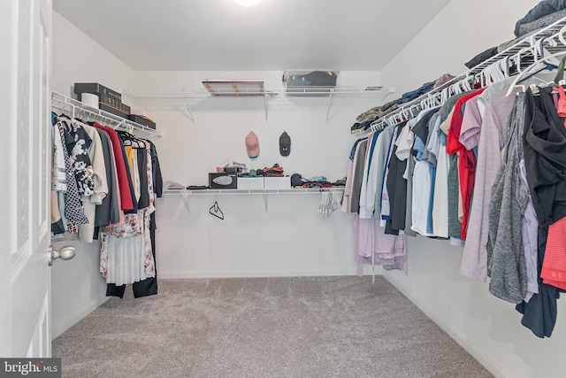 walk in closet featuring carpet