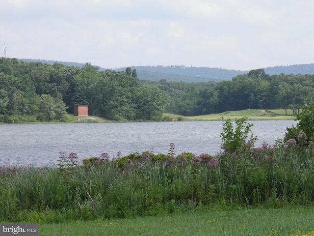 view of water feature with a forest view