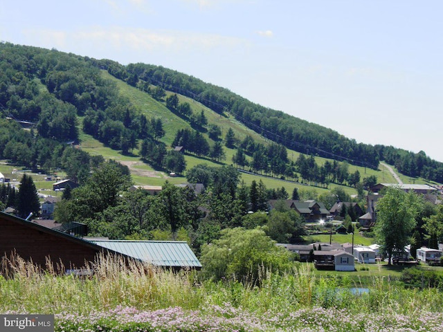 view of mountain feature