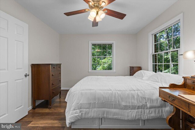 38577 Goose Creek Ln, Leesburg, VA 20175 - bedroom featuring wood finished floors, multiple windows, baseboards, and ceiling fan
