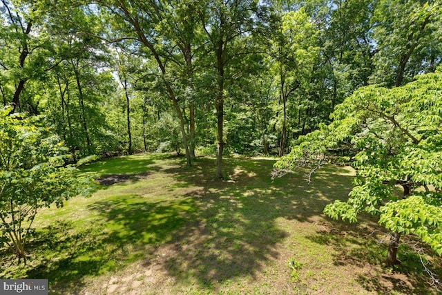 38577 Goose Creek Ln, Leesburg, VA 20175 - view of local wilderness